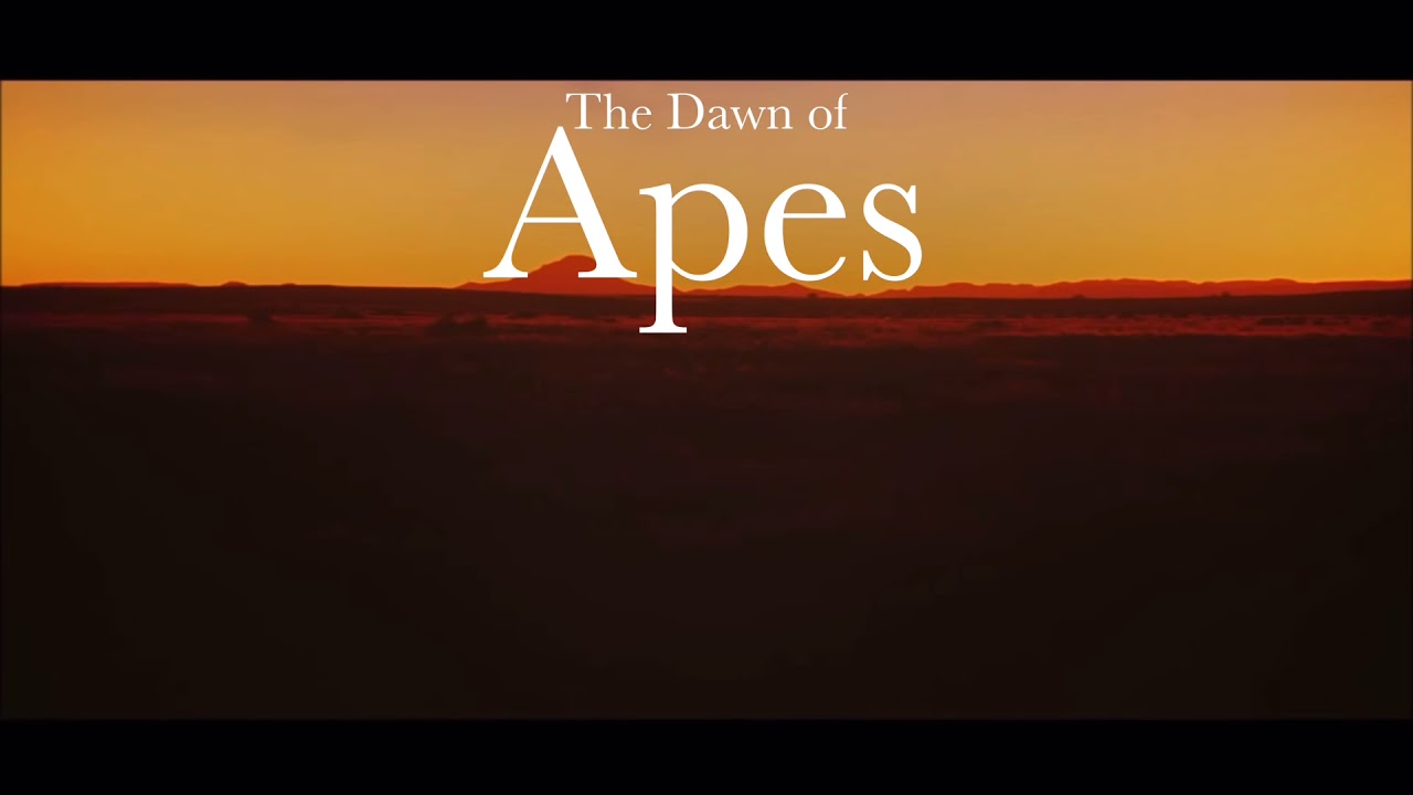 2021: An Ape Odyssey