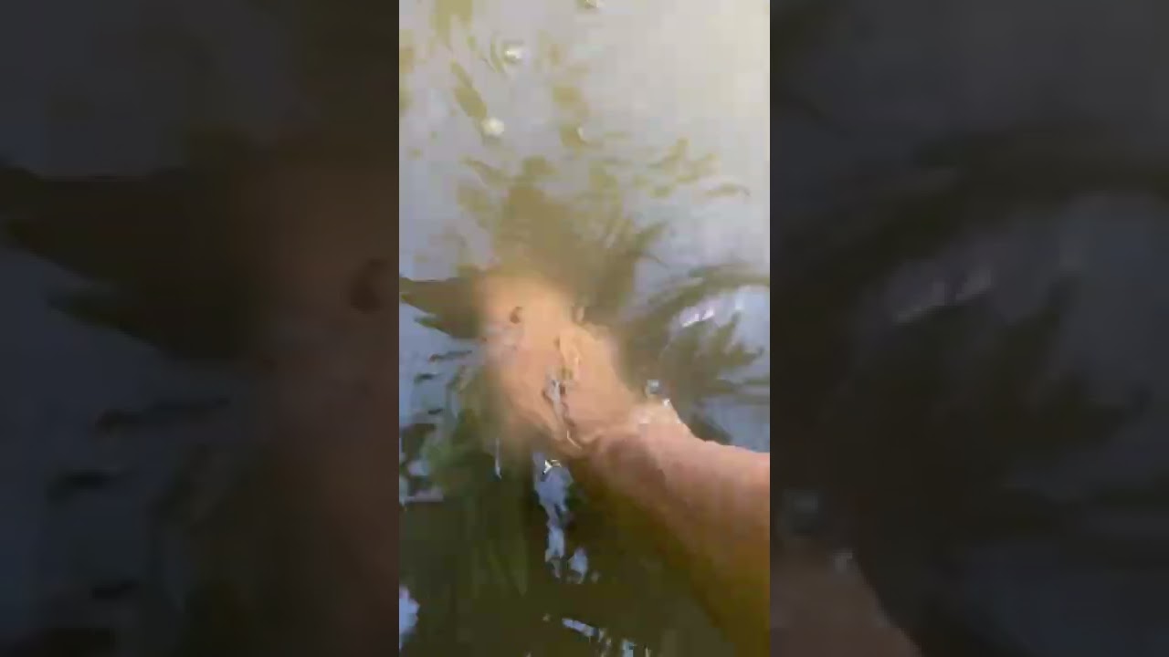 Nebraska probing for bottles in creeks