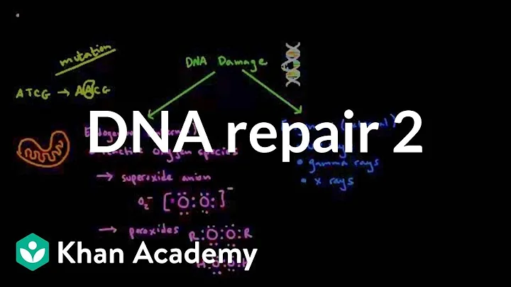 DNA repair 2 | Biomolecules | MCAT | Khan Academy