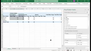 Summarize data using Pivot Tables in Excel