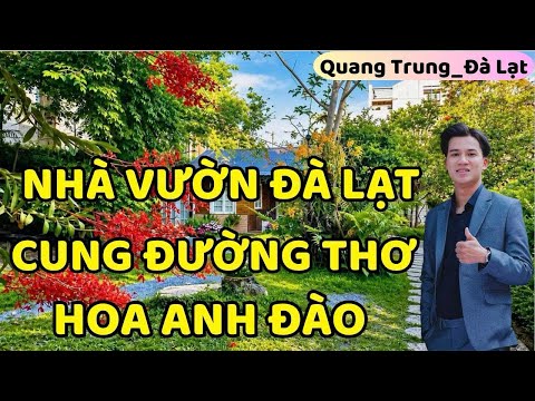 BÁN CĂN NHÀ GỖ SÂN VƯỜN AN YÊN GIỮA LÒNG ĐÀ LẠT. NGHỈ DƯỠNG DƯỚI HOA ANH ĐÀO