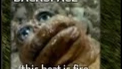 Level 250 Minilla Ex GamePlay