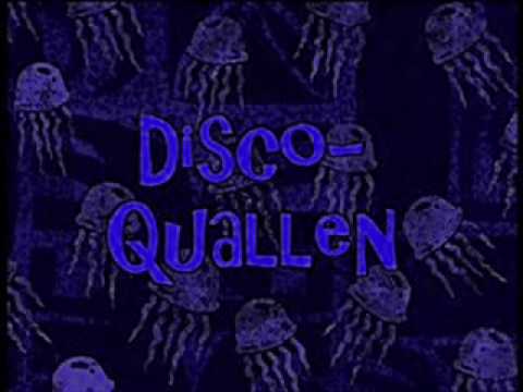 Disco Quallen