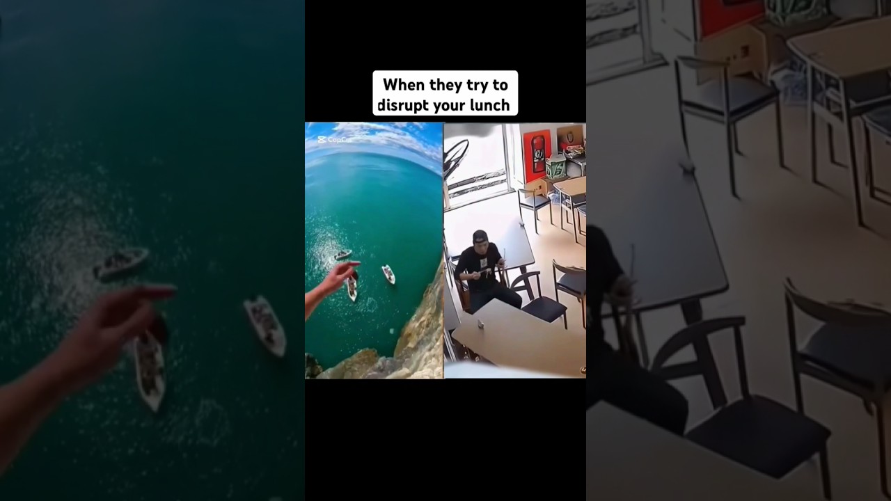 When they try to disrupt your lunch 