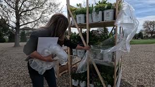 Pallets Of Proven Winners® Perennials (Part 1)