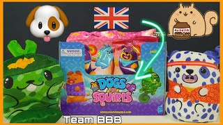 DOGS VS SQUIRLS Full Box From the people who make Cats Vs Pickles! Mystery Plushies in blind bags