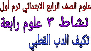 علوم الصف الرابع الابتدائي منهج جديد ترم أول نشاط 3تكيف الدب القطبي والدب البني