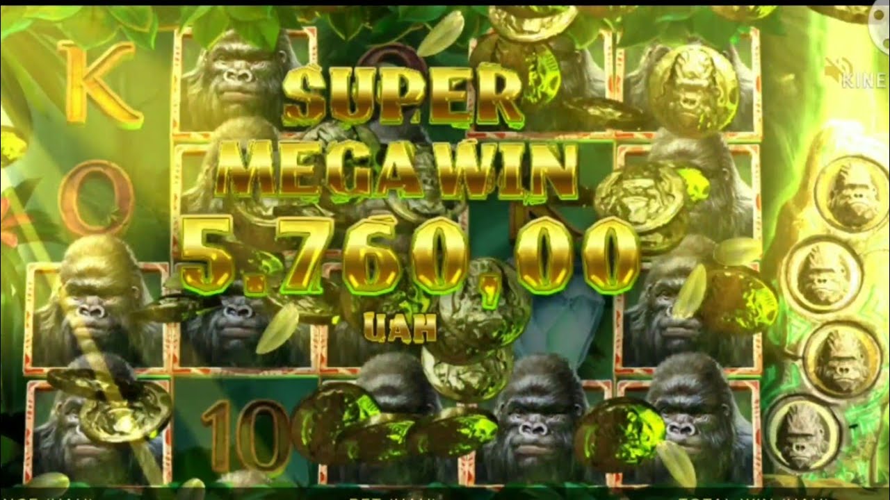 Gorilla KINGDOM (SUPER BiG Win) NetEnt (X 890) 18+