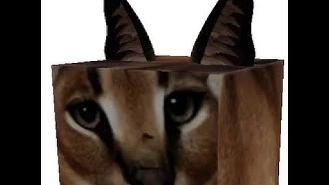 raise a floppa 2 script omg op link disc