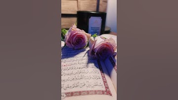 سعد الغامدي.. سورة الكهف