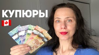 Канадские купюры 🇨🇦