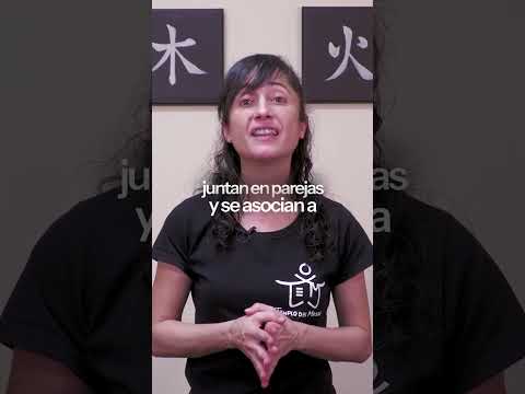 ✨ Los secretos reales de la acupuntura