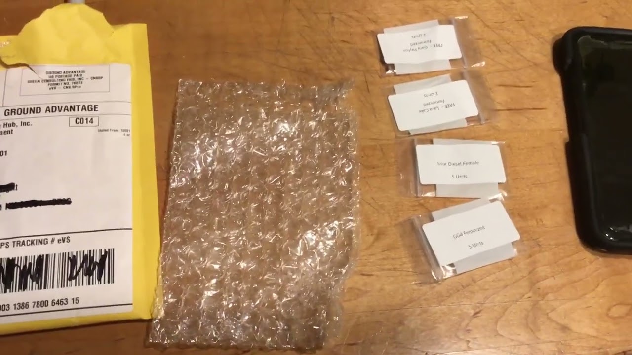 MSNL seeds purchase and delivery information 🏹