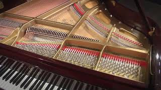 Story & Clark 5 Baby Grand Piano Polished Mahogany (DG19013)
