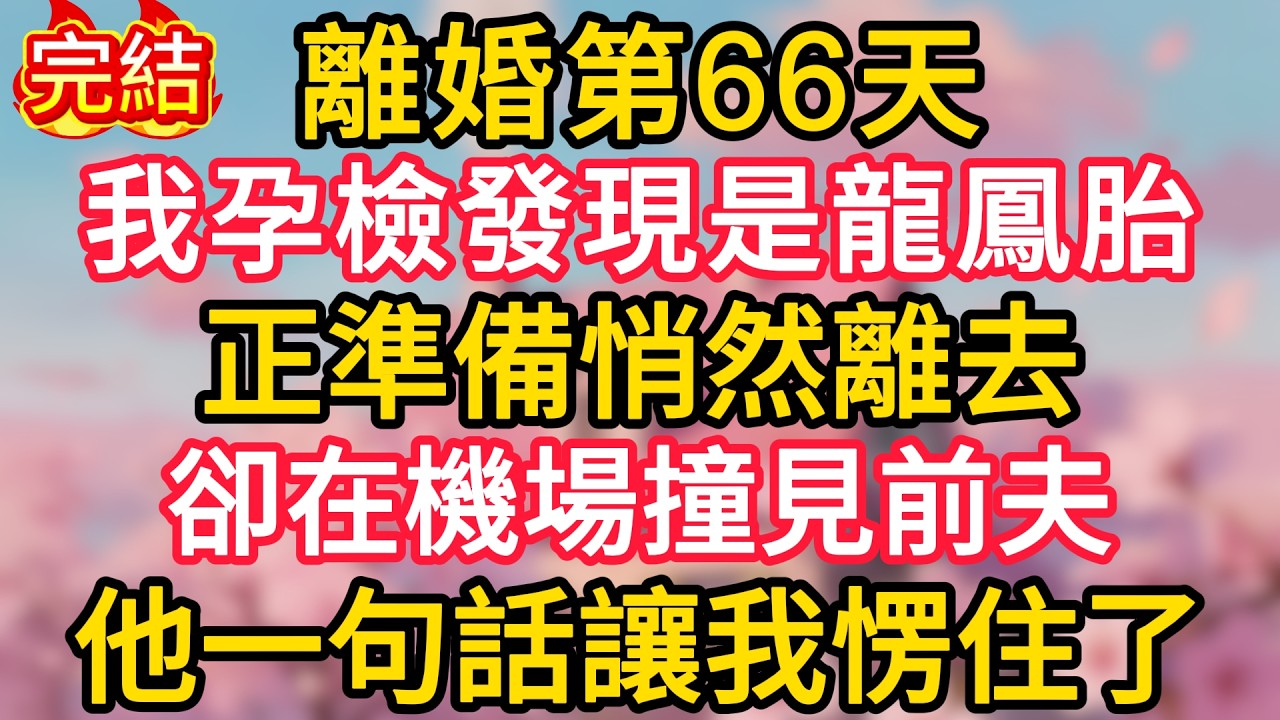 離婚第66天，我孕檢發現是龍鳳胎，正準備悄然離去，卻在機場撞見前夫，他一句話讓我愣住了