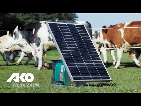 AKO Weidezaungerät Duo Power X 6000 smart (Rind) (#372876)
