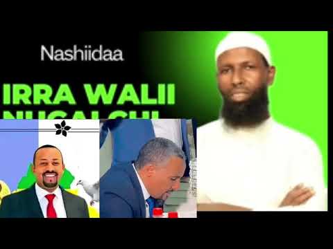 Abdosh Alliyi Haryana Wye Juwar Fii Wahe Abiyi 