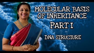 NEET:  Molecular Basis of Inheritance: Part 1- Structure of DNA