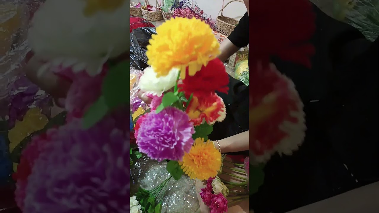 Nice Clip Selected 2024 