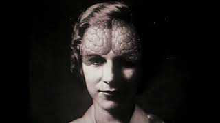 Download Lagu Sum 41 -  Does This Look Infected PSAs MP3