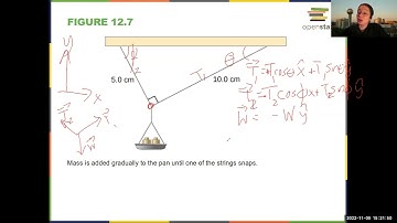 Intro Physics Chapter 12 Static Equilibrium and Elasticity Part 1
