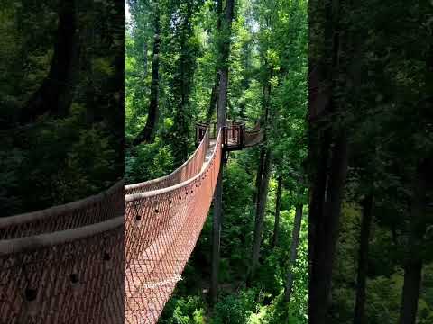Places to visit in Tennessee