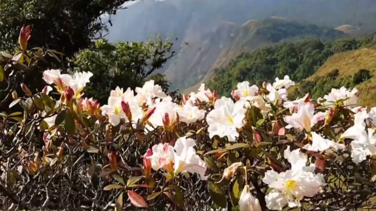 #ท่องเที่ยว