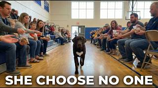 Every Dog Found A Family Except Her... What She Was Waiting For Will Shatter You