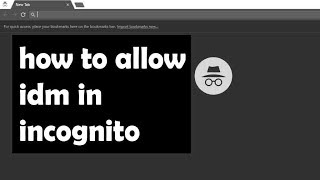 how to allow idm in incognito screenshot 4