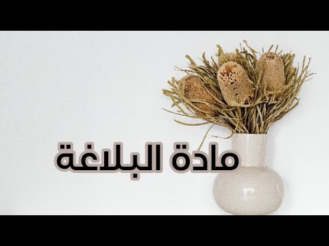 تفريغ المحاضرة الأولى مادة البلاغة العربية الفصل التالث