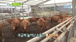 생방송 투데이 131121(다시보기) #1(3)