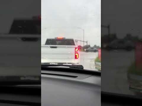 Indiana storm update | Tornado aftermath down trees and lights