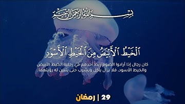 سورة البقرة ص 29 - عبد الباسط عبد الصمد 🎧💛|