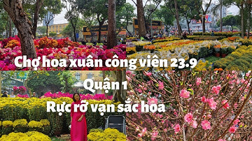Chợ hoa tết Sài Gòn, Công viên 23/9 q.1: Rực rỡ vạn sắc hoa - Bông giấy bung nở - Mai vàng Đào khủng