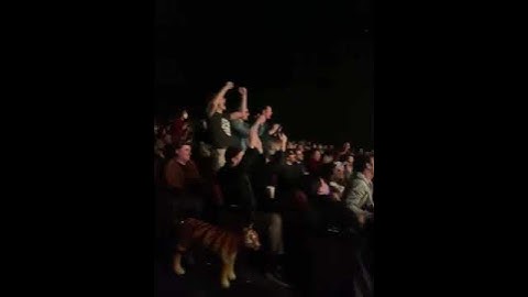 Los Angeles Audience Reaction For #RRRMovie❤‍🔥 || #NTR #SSRajamouli #BeyondFest #RamCharan #JaiNTR
