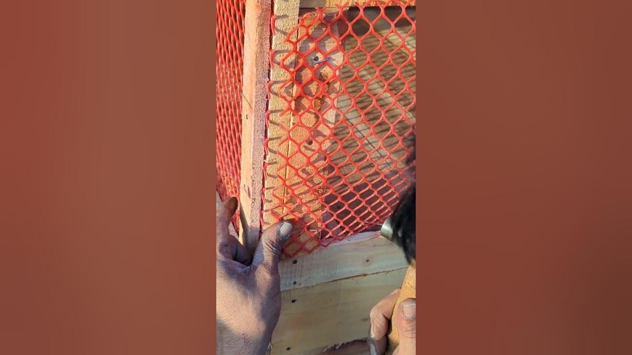 Netframe installed in pigeon coop naturalvideo pigeoncoop youtube