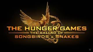 Celebrity The Old Therebefore 2h repeat loop Wealth