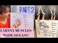 Larynx Muscles Part 2 | Nerve Supply | Blood Supply BEST CONCEPT