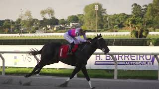 Vidéo de la course PMU PRIX FAST-NIGHT (2019)