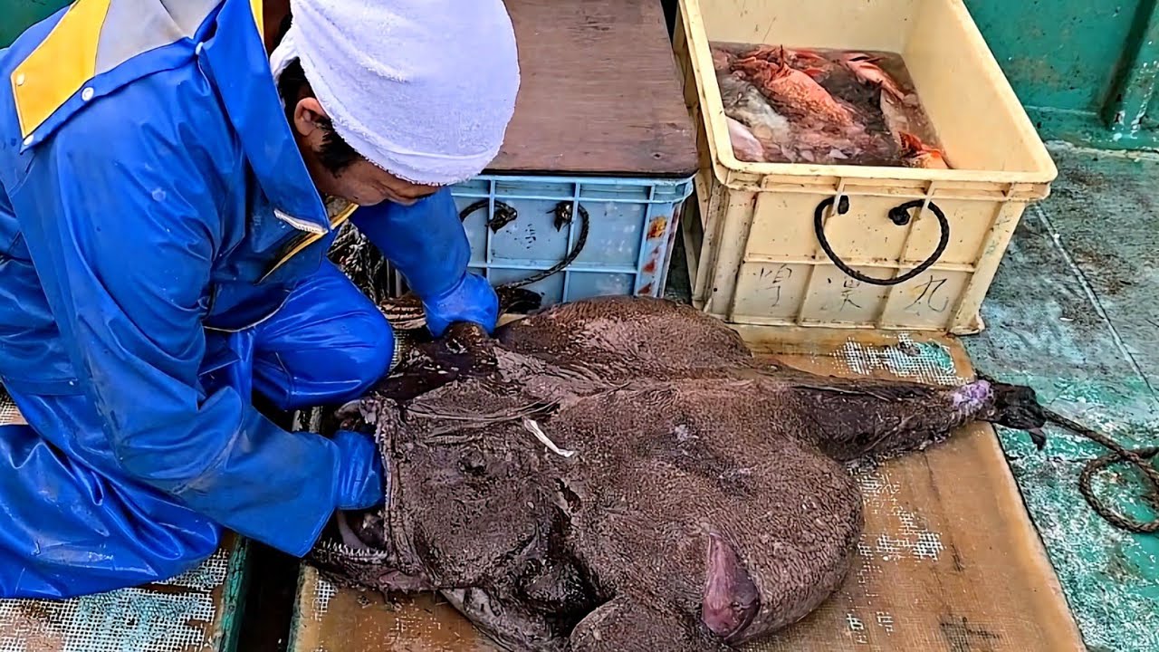 I got bitten by the strongest monster monkfish! I caught a