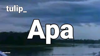 Tulip_-_Apa || Music Video Lyrics lagu || RaquestRQ San _ Tulip - Apa