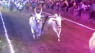 NAGYA GROUP BAILGADA SANGHATNA ,WAKAD, ANIL APPA KALATE