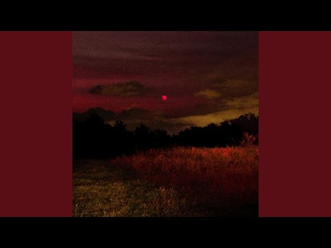 I used to love the fall (Demo)