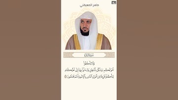 ماهر المعيقلي سورة البقرة آية 188 (كل يوم آية) | Mahmoud Okasha