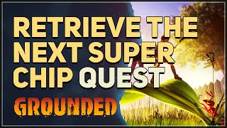 Retrieve the Next Super Chip Grounded