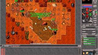 RookGaard Tibia Ot
