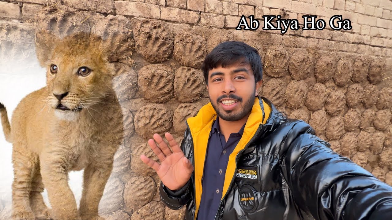 Abu Jaan Se Lion Baby Maang Liya 🦁 Zohaib Pendu | Zohaib Sabir Vlogs