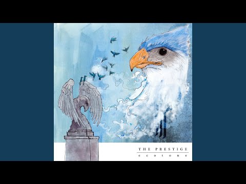 在 YouTube 上观看 Constellations