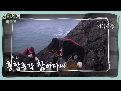 Yoo Hae-jin's Human Documentary: 'Mr. Cham-bada's Mussel Harvesting' | Three Meals a Day: Fishing...