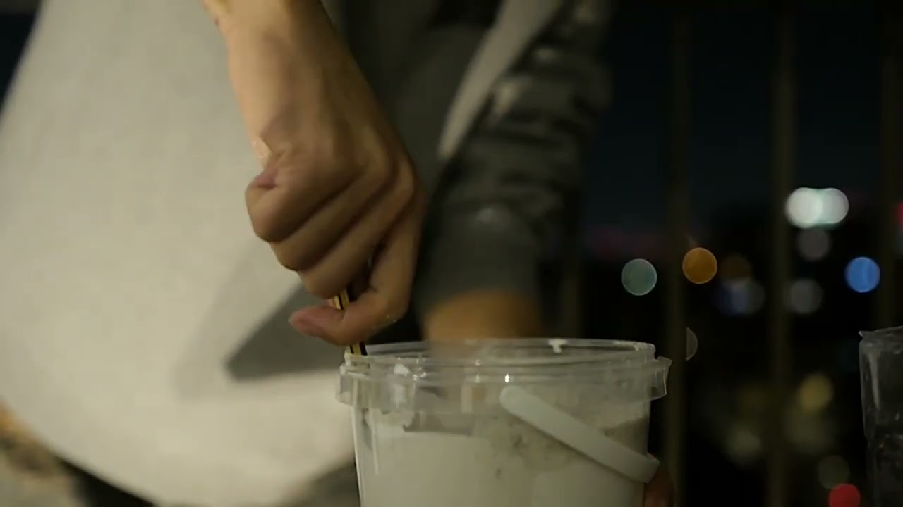 Making an ant's house